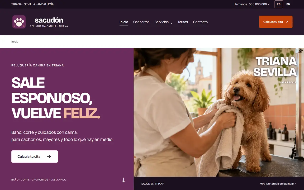 Sacudón website on a desktop screen