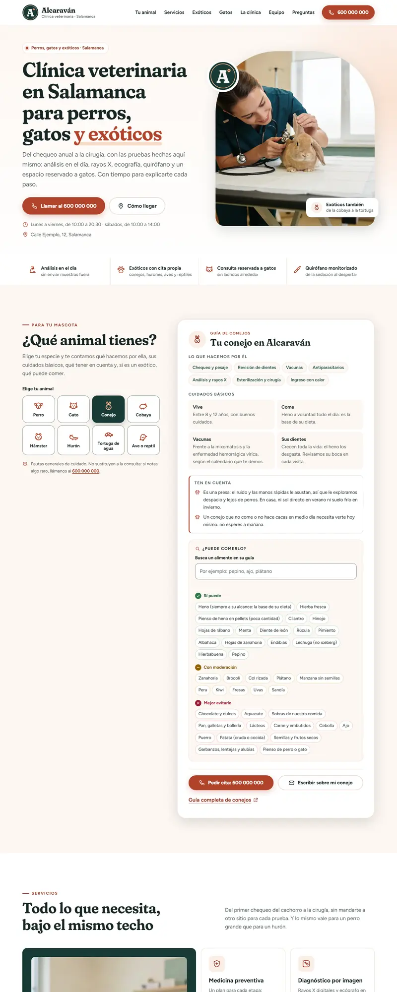 Full page of the veterinary clinic website